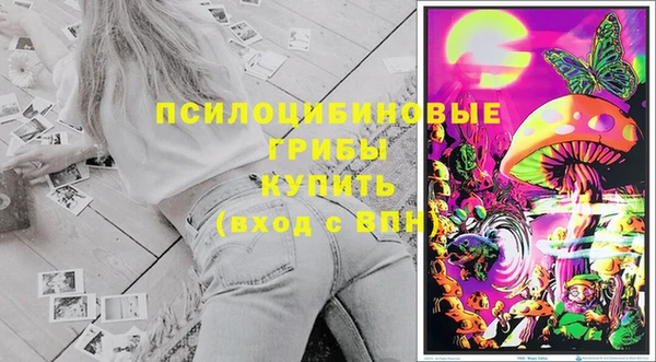 эйфоретик Коряжма