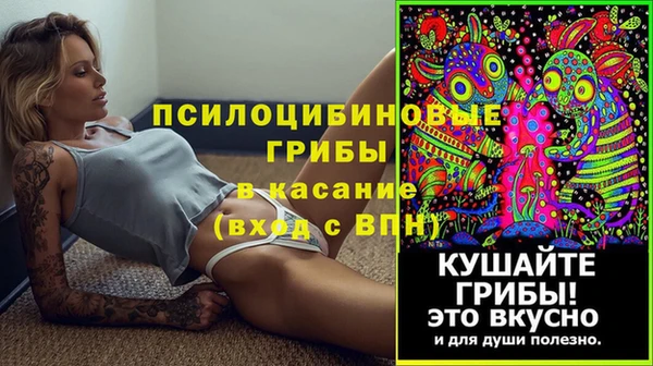 эйфоретик Коряжма